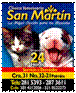 Clinica Veterinaria San Martin Clinica Veterinaria San Martin