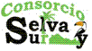 Consorcio Selva y Sur Consorcio Selva y Sur