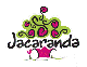 Jacaranda Jacaranda