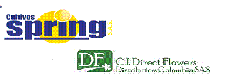 Cultivos Spring S.A.S- C.I Direct Flowes S.A.S Cultivos Spring S.A.S- C.I Direct Flowes S.A.S