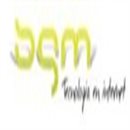 SGM TECNOLOGÍA EN INTERNET S.A.S