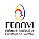 Fenavi Fenavi