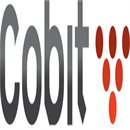 COBIT COLOMBIA S.A.S COBIT COLOMBIA S.A.S
