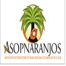 Asociación de Productores de Palma Africana Los Naranjos Asociación de Productores de Palma Africana Los Naranjos