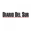 Diario del Sur Diario del Sur
