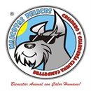 MASCOTAS FELICES MASCOTAS FELICES