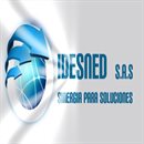 IDESNED SAS IDESNED SAS