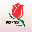 Prestige Roses S.A.S Prestige Roses S.A.S