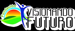 FUNDACION VISIONANDO FUTURO FUNDACION VISIONANDO FUTURO