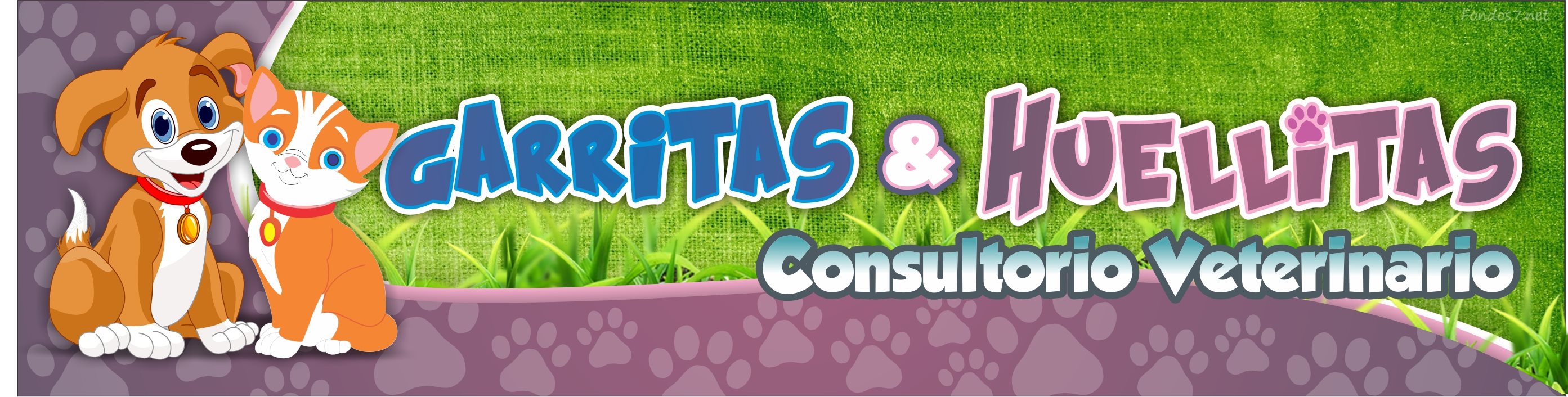 Consultorio Veterinario Garritas y Huellitas Consultorio Veterinario Garritas y Huellitas