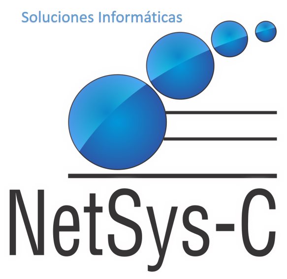 NetSys-C S.A.S NetSys-C S.A.S