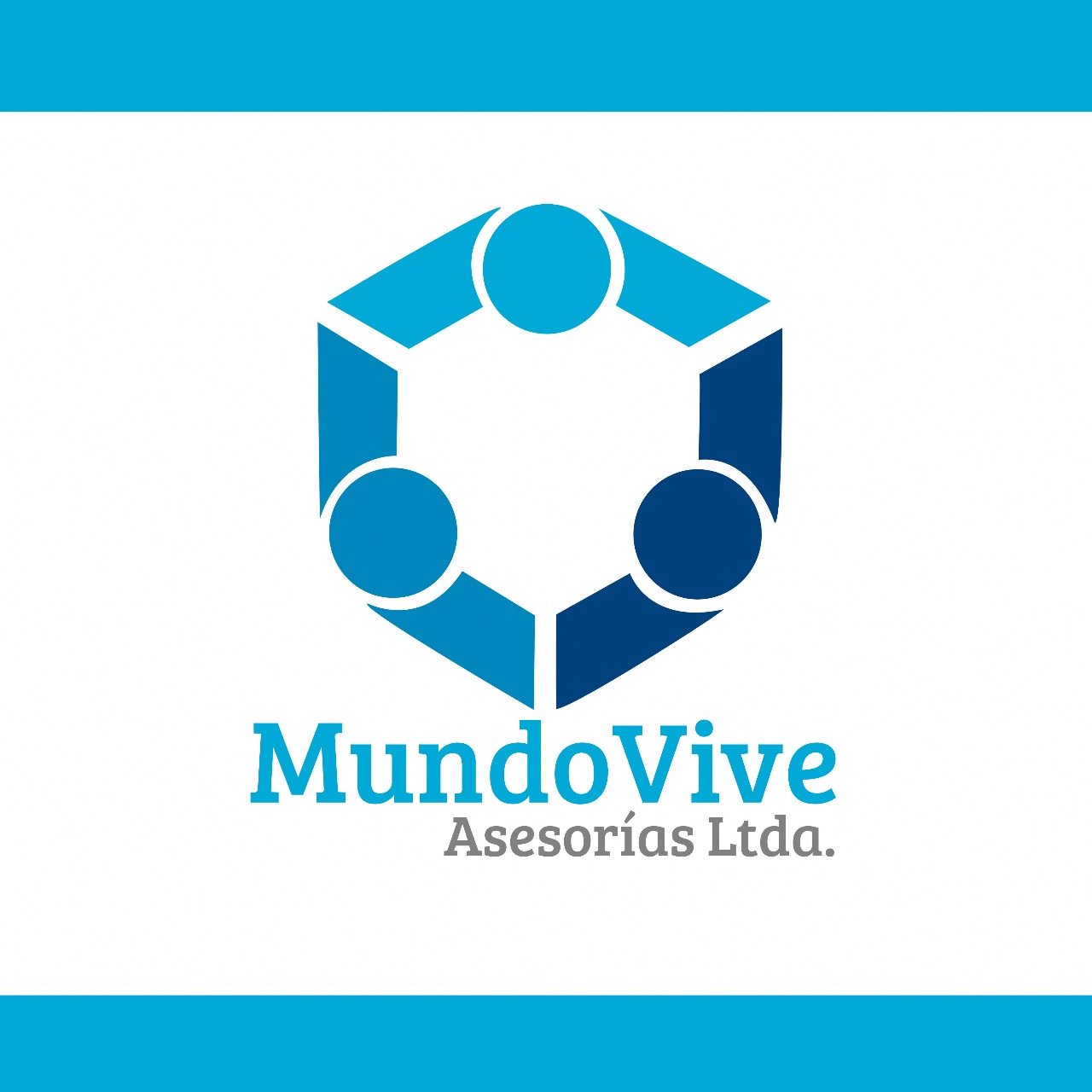 Mundo Vive Asesorías Ltda. Mundo Vive Asesorías Ltda.