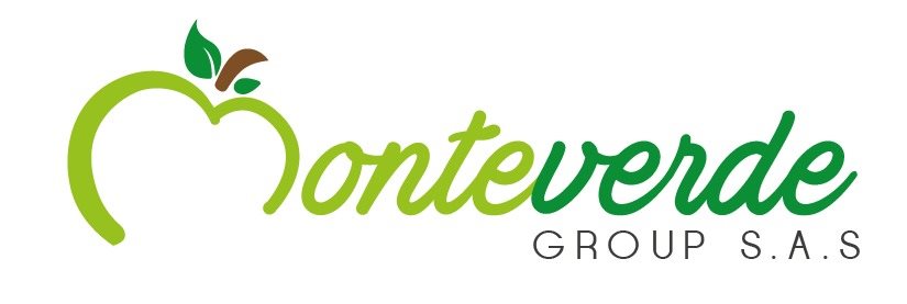 CI MONTEVERDE GROUP CI MONTEVERDE GROUP