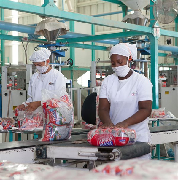 DIANA AGRICOLA S A S Collage Photo 1