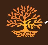FUNDACION PARA TODOS FUNDACION PARA TODOS
