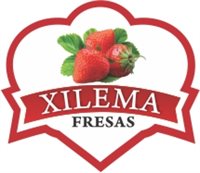 Agroindustria Xilema SAS Agroindustria Xilema SAS
