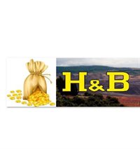 HYB NEGOCIOS SAS HYB NEGOCIOS SAS