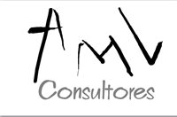 AMV CONSULTORES SAS AMV CONSULTORES SAS