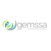 GEMSSA SAS. GEMSSA SAS.