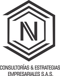 NV Consultorias y Estrategias Empresariales SAS NV Consultorias y Estrategias Empresariales SAS