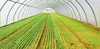 Servi Agricola RYM SAS Servi Agricola RYM SAS