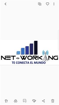 Net Working sas Net Working sas