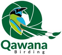 QAWANA