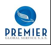 PREMIER GLOBAL SERVICE SAS