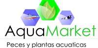 Aquamarket Aquamarket