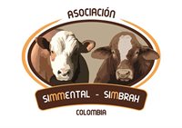 Asosimmental -Simbrah Asosimmental -Simbrah