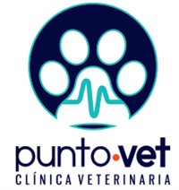 punto vet clinica veterinaria 