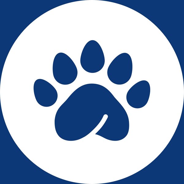 ReclutaPro Collage Photo 0