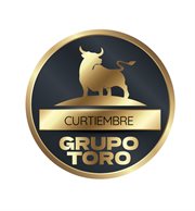 GRUPO TORO & CIA SAS