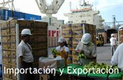 Representaciones De Importaciones Y Exportaciones De Alimentos Sas