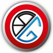 RG SEGURIDAD ELECTRONICA S.A.S. logo