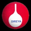 DIREYA, S.A. DE C.V DIREYA, S.A. DE C.V