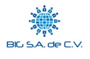 BIG S.A. de C.V. BIG S.A. de C.V.