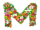 Maduro's Tropical Flowers