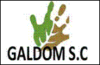 Galdom Galdom