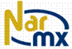 Narmx