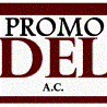 Promotoria de Delicias A.C. Promotoria de Delicias A.C.