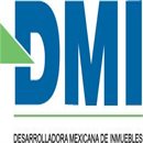 Grupo DMI