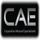 Corporativo Aduanal Especializado