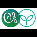 Transpersonal Playa Transpersonal Playa