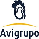 Avigrupo