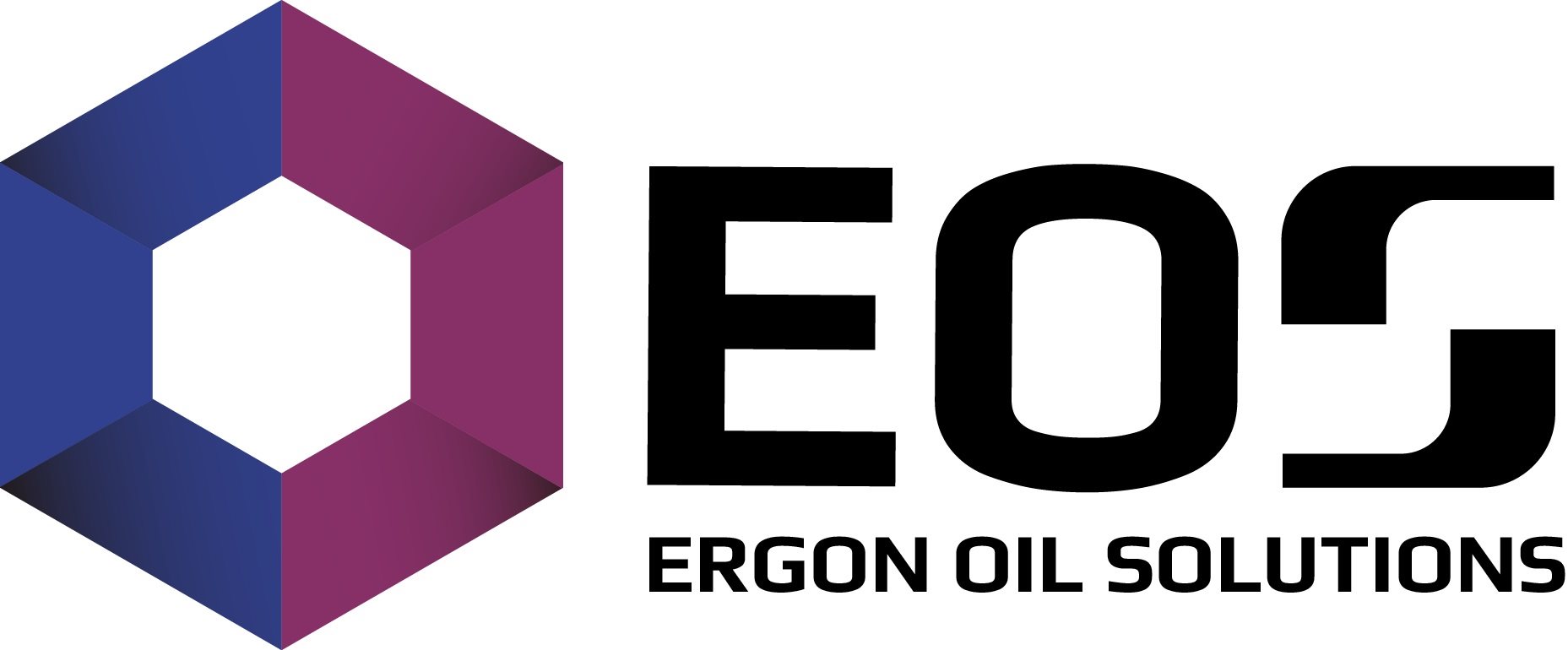 Ergon