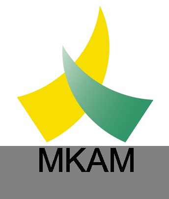 MITSUI KINZOKU ACT MEXICANA 