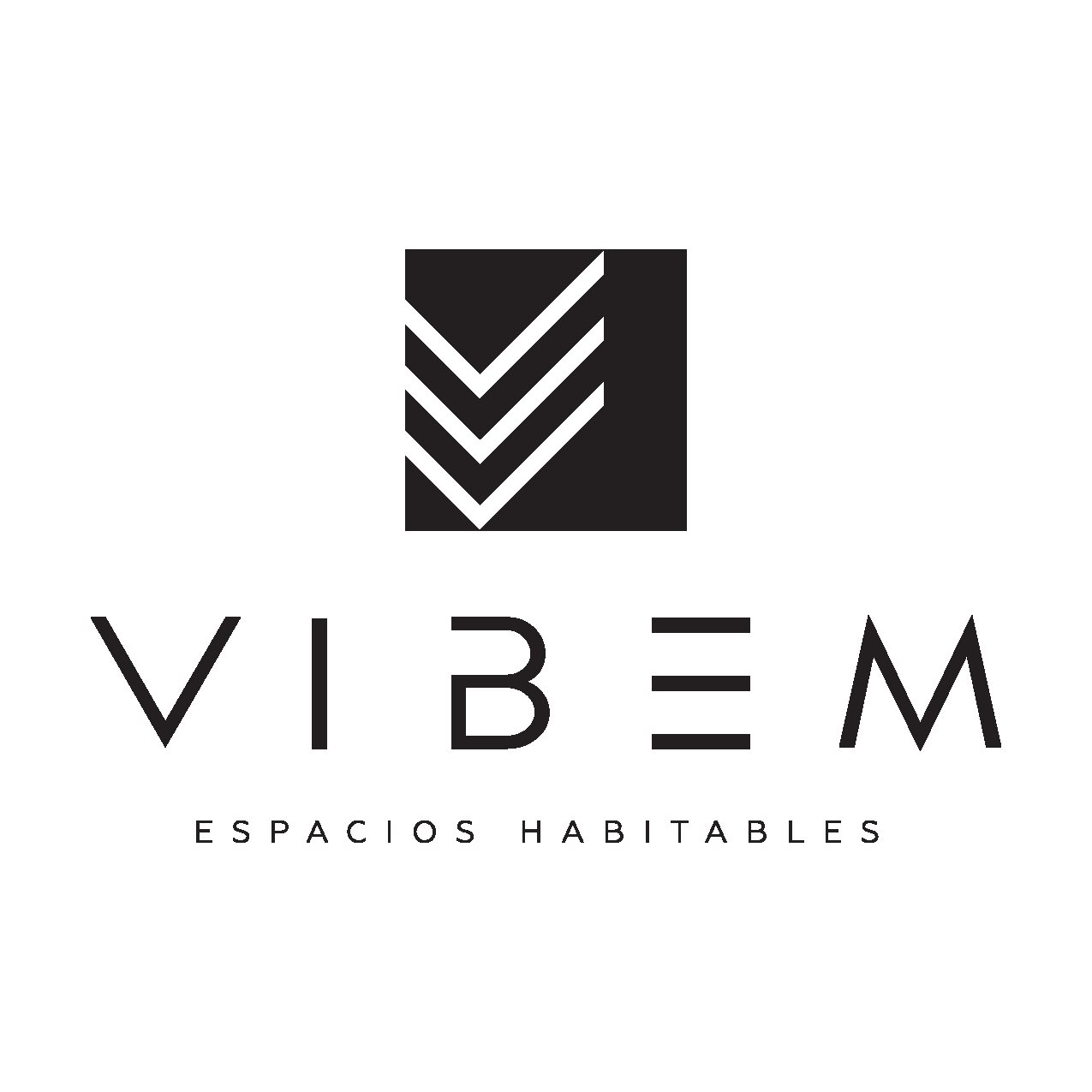 VIBEM  logo