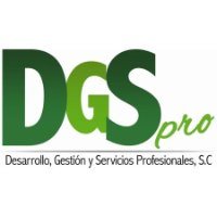Desarrollo, Gestion y Servicios Profesionales