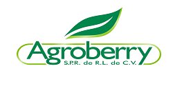 Agroberry SA de CV Agroberry SA de CV